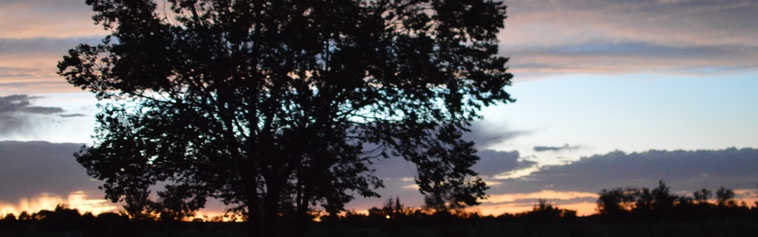 DSC_0002