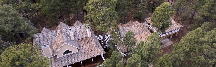 PineTop1